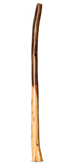 Wix Stix  Didgeridoo (WS222)